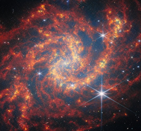 Star formation in the spiral galaxy NGC 2283, seen in infrared light by the James Webb Space Telescope.